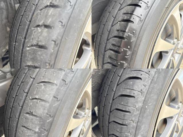 �u���̎Ԃ̎ʐ^�������ƌ������v�u��Ԃ��C�ɂȂ�v�u���̑����͂��Ă���H�v�ǂ�ȏ����ȋ^��ł����C�y�ɂ��₢���킹���������I