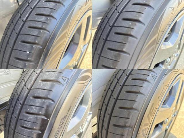 �u���̎Ԃ̎ʐ^�������ƌ������v�u��Ԃ��C�ɂȂ�v�u���̑����͂��Ă���H�v�ǂ�ȏ����ȋ^��ł����C�y�ɂ��₢���킹���������I