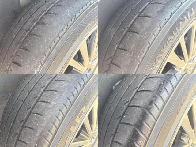 �u���̎Ԃ̎ʐ^�������ƌ������v�u��Ԃ��C�ɂȂ�v�u���̑����͂��Ă���H�v�ǂ�ȏ����ȋ^��ł����C�y�ɂ��₢���킹���������I