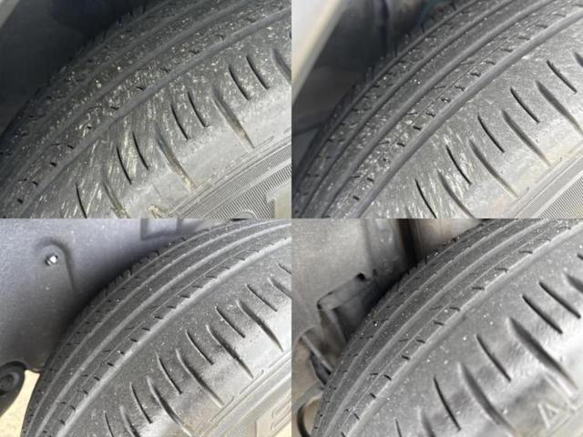 �u���̎Ԃ̎ʐ^�������ƌ������v�u��Ԃ��C�ɂȂ�v�u���̑����͂��Ă���H�v�ǂ�ȏ����ȋ^��ł����C�y�ɂ��₢���킹���������I