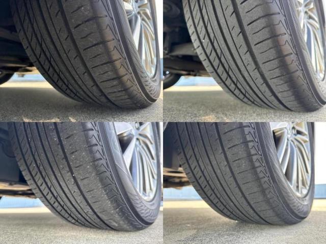 �u���̎Ԃ̎ʐ^�������ƌ������v�u��Ԃ��C�ɂȂ�v�u���̑����͂��Ă���H�v�ǂ�ȏ����ȋ^��ł����C�y�ɂ��₢���킹���������I