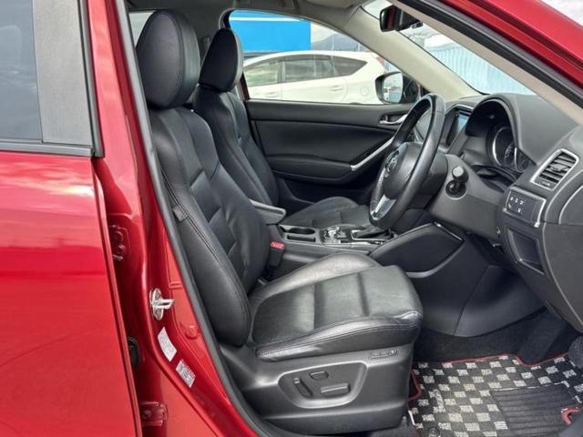 �u���̎Ԃ̎ʐ^�������ƌ������v�u��Ԃ��C�ɂȂ�v�u���̑����͂��Ă���H�v�ǂ�ȏ����ȋ^��ł����C�y�ɂ��₢���킹���������I