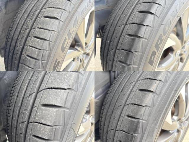 �u���̎Ԃ̎ʐ^�������ƌ������v�u��Ԃ��C�ɂȂ�v�u���̑����͂��Ă���H�v�ǂ�ȏ����ȋ^��ł����C�y�ɂ��₢���킹���������I