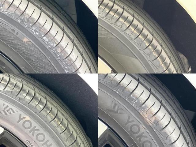 �u���̎Ԃ̎ʐ^�������ƌ������v�u��Ԃ��C�ɂȂ�v�u���̑����͂��Ă���H�v�ǂ�ȏ����ȋ^��ł����C�y�ɂ��₢���킹���������I