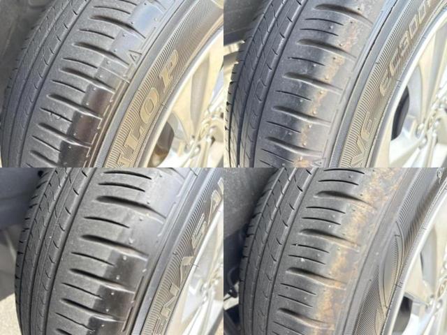 �u���̎Ԃ̎ʐ^�������ƌ������v�u��Ԃ��C�ɂȂ�v�u���̑����͂��Ă���H�v�ǂ�ȏ����ȋ^��ł����C�y�ɂ��₢���킹���������I