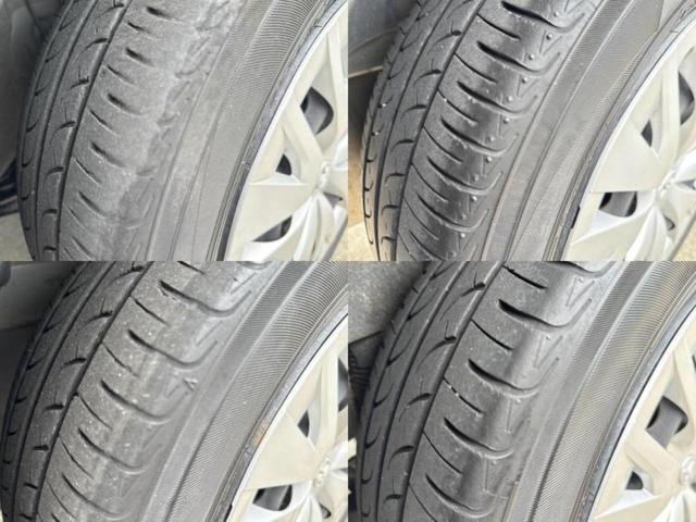 �u���̎Ԃ̎ʐ^�������ƌ������v�u��Ԃ��C�ɂȂ�v�u���̑����͂��Ă���H�v�ǂ�ȏ����ȋ^��ł����C�y�ɂ��₢���킹���������I