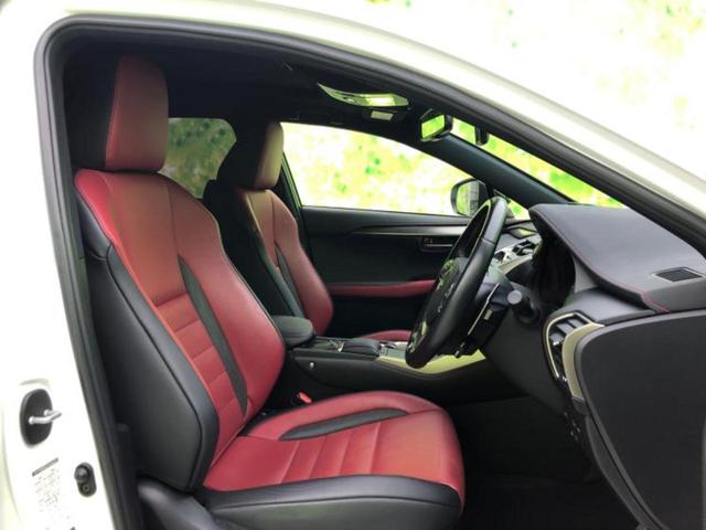 �u���̎Ԃ̎ʐ^�������ƌ������v�u��Ԃ��C�ɂȂ�v�u���̑����͂��Ă���H�v�ǂ�ȏ����ȋ^��ł����C�y�ɂ��₢���킹���������I