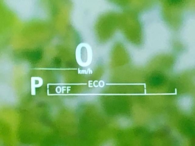 �v�d�b�`�q�r�̓W����ł͎��ۂɌ��āA�G���Ă��Ԃ����I�т��������܂��I�m���̖L�x�ȉc�ƃX�^�b�t���l�X�ȃJ�[���C�t������Ă������܂��I