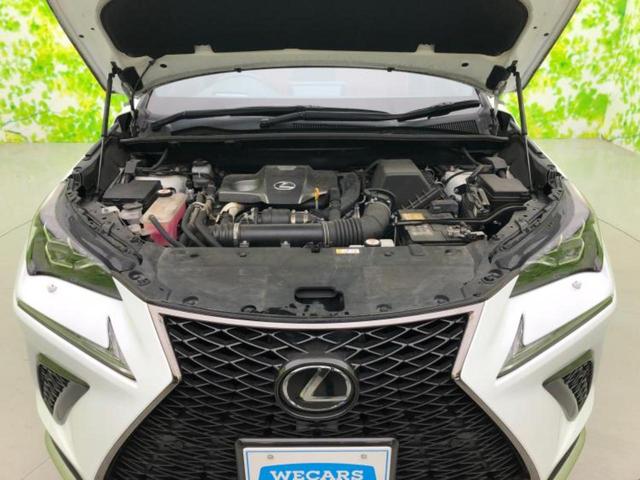 �S���ɓX�܂�W�J���Ă���̂łǂ��ł������񂹂��\�ł��I���̎Ԃ��C�ɂȂ邯�ǉ���������E�E�E�ƒ��߂�K�v�͂���܂���I���ʓr������K�v�ł��B