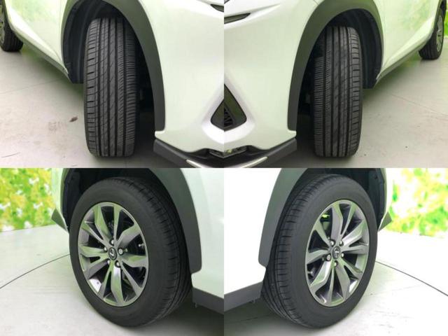 �u���̎Ԃ̎ʐ^�������ƌ������v�u��Ԃ��C�ɂȂ�v�u���̑����͂��Ă���H�v�ǂ�ȏ����ȋ^��ł����C�y�ɂ��₢���킹���������I