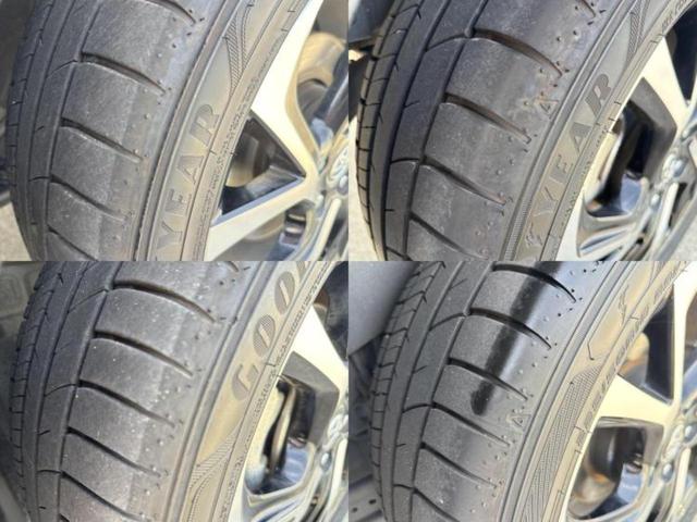 �u���̎Ԃ̎ʐ^�������ƌ������v�u��Ԃ��C�ɂȂ�v�u���̑����͂��Ă���H�v�ǂ�ȏ����ȋ^��ł����C�y�ɂ��₢���킹���������I