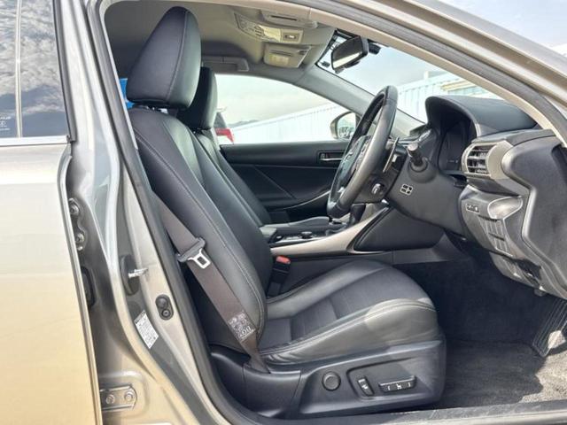 �u���̎Ԃ̎ʐ^�������ƌ������v�u��Ԃ��C�ɂȂ�v�u���̑����͂��Ă���H�v�ǂ�ȏ����ȋ^��ł����C�y�ɂ��₢���킹���������I