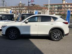 �ףţã��ңӤκ߸˥ڡ������������������ˤ��꤬�Ȥ��������ޤ����ףţã��ңӤϡ֤��������פ��åȡ��ˤ����ͤΥ����饤�դ����Ϥǥ��ݡ��Ȥ������ޤ��� 2