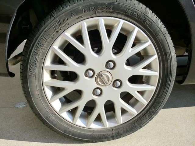 �P�S�C���`�A���~