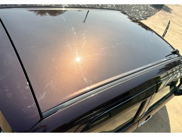 �P�X�X�X�N�n�ƁA�F�؍H�ꁕ���h���H�ꊮ���I�I����܂ő����̂��q�l�₨����l�Ƃ��t�����������Ē����Ă��܂��B