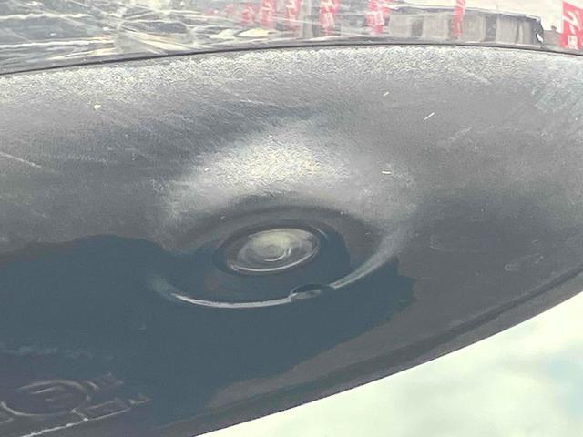 デイズ ハイウェイスター　Ｘ　全周囲カメラ　ナビ　ＴＶ　クリアランスソナー　衝突被害軽減システム　オートライト　ＬＥＤヘッドランプ　スマートキー　アイドリングストップ　電動格納ミラー　ベンチシート　ＣＶＴ　盗難防止システム　ＡＢＳ（28枚目）