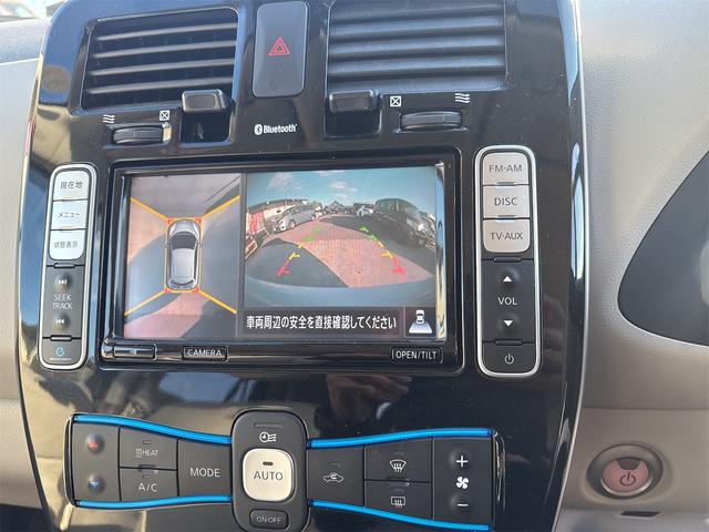 リーフ (12枚目)