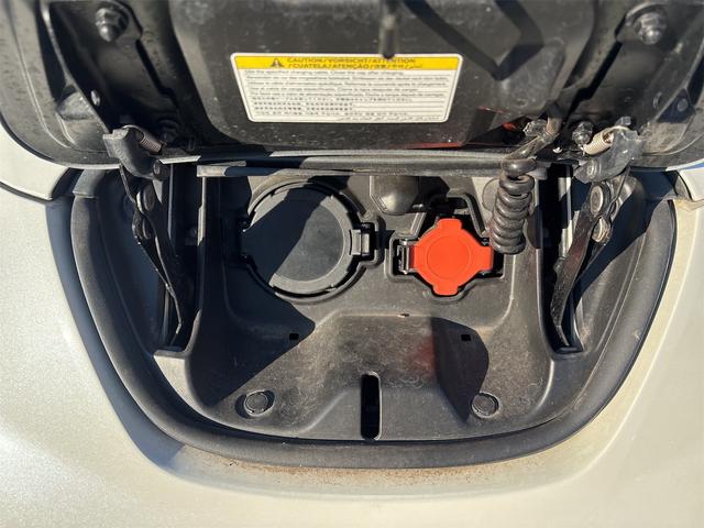 リーフ (21枚目)