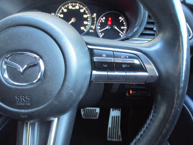 CX-30 XD プロアクティブ ツーリングセレクション 1オナ 禁煙車 衝突軽減B ディスプレイオーディオ Bカメラ フルセグ レーダークルーズコントロール AppleCarPlay シートヒーター ステアリングヒーター クリアランスソナー 電動リアゲート(28枚目)