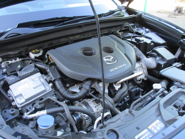 CX-30 XD プロアクティブ ツーリングセレクション 1オナ 禁煙車 衝突軽減B ディスプレイオーディオ Bカメラ フルセグ レーダークルーズコントロール AppleCarPlay シートヒーター ステアリングヒーター クリアランスソナー 電動リアゲート(55枚目)