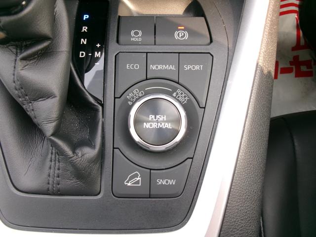 RAV4 G Zパッケージ 禁煙車 ワンオーナー 純正ナビ モデリスタフルエアロ 全方位カメラ クリアランスソナー アダプティブクルーズコントロール 電動リアゲート シートヒーター ステアリングヒーター ドラレコ前後 ETC(25枚目)