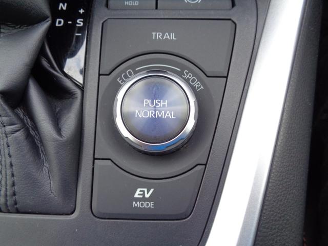 RAV4 ハイブリッドアドベンチャー ・当店買取・整備渡し・ワンオーナー・車庫保管・禁煙車・トヨタセーフティセンス・10.5インチディスプレイオーディオ・バックカメラ・フルセグTV・パワーゲート・2.0ETC・アダクティブクルコン(34枚目)