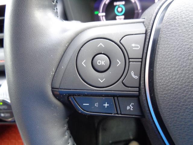 RAV4 ハイブリッドアドベンチャー ・当店買取・整備渡し・ワンオーナー・車庫保管・禁煙車・トヨタセーフティセンス・10.5インチディスプレイオーディオ・バックカメラ・フルセグTV・パワーゲート・2.0ETC・アダクティブクルコン(35枚目)