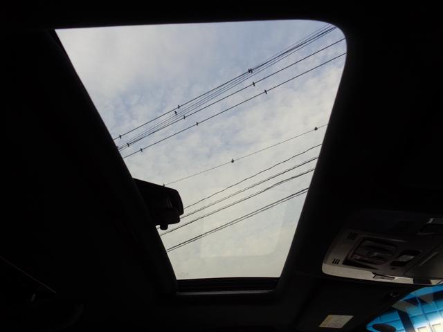 �t�����g�T�����[�t