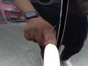 ����ͥ���77