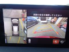 ��������ӥ塼����˥����ʥ᡼�������ץ����ˡ�����ξ�����庸�������֤��줿�����α�������������֤�夫�鸫���褦�ʱ�����ޥĥ����ͥ��Ȥ�ɽ�����ޤ�����ֻ��䶹�����Ǥμ��󤷤��ä������Ǥ��� 4