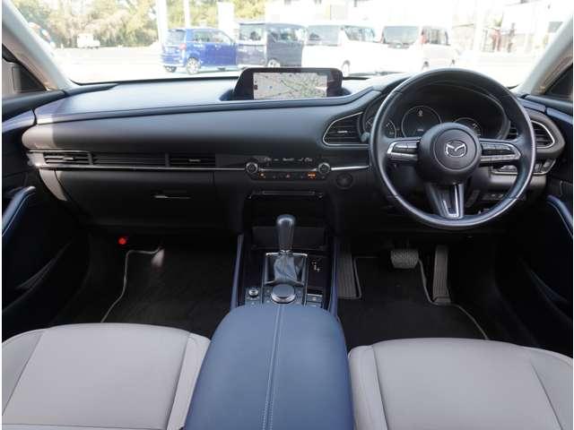 �C���p�l���̉摜�ƂȂ�܂��B�ԗ��]���؂ɂă_�b�V���{�[�h�̂�ՂȂǁA�O���[�U�[�l���i�r�܂����[�_�[�Ȃǎ��t������Ă����ԗ����������܂��B�]���؂ɂĂ��m�F���������Ԋm�F�������߂����Ē����܂��B