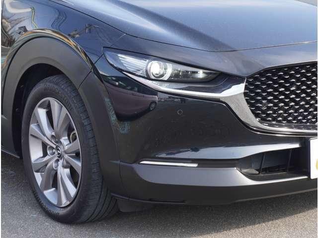 �y�k�d�c�w�b�h���C�g�z���V����ԑ��s�����ǍD�Ȏ��E���m�ۂ����S���ĉ^�]�ł��鍂�P�x�k�d�c�w�b�h���C�g�𑕔��B���邢��ɓ_�����x����������d�͂��}�����Ă��܂��B