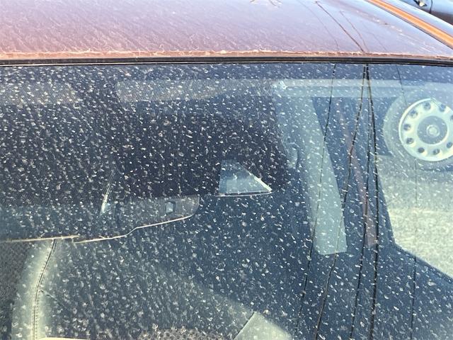 ノート メダリスト　Ｘ　衝突軽減ブレーキ　レーンアシスト　横滑り防止装置　アイドリングストップ　アラウンドビューモニター　純正ナビ地デジＴＶ　Ｂｌｕｅｔｏｏｔｈ　インテリジェントキー　プッシュスターター　ＨＩＤヘッドライト（44枚目）