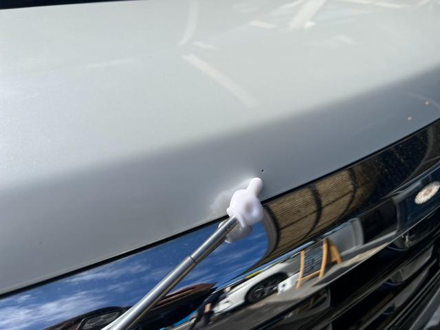 �{���l�b�g�ɔ�ѐΏ�������܂��B