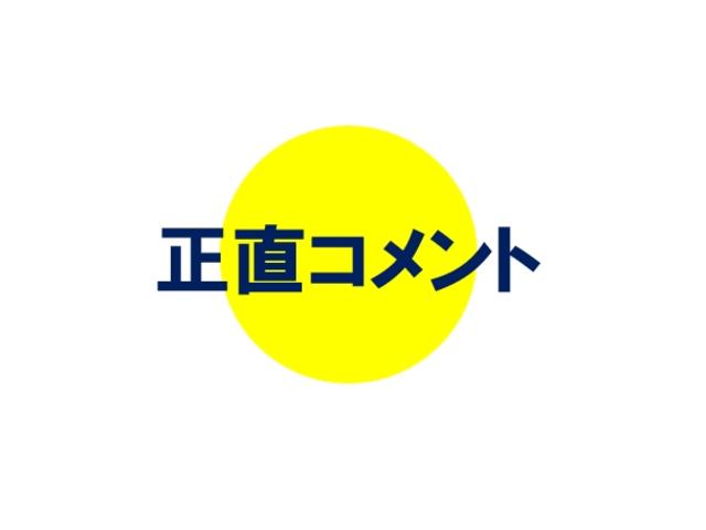 ジーノ　メモリアルエディション　鑑定書付　ウッドコンビハンドル　ドアバイザー　電格ミラー　ＣＤプレイヤー（画像61）