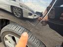����ͥ���64