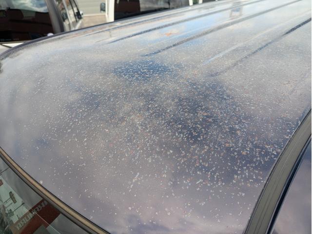 ムーヴコンテ カスタム　Ｘ（40枚目）