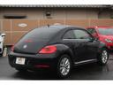 VOLKSWAGEN THE BEETLE