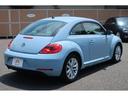 VOLKSWAGEN THE BEETLE