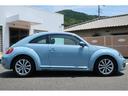 VOLKSWAGEN THE BEETLE