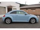 VOLKSWAGEN THE BEETLE