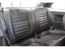 VOLKSWAGEN THE BEETLE
