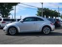 VOLKSWAGEN THE BEETLE