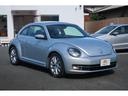 VOLKSWAGEN THE BEETLE