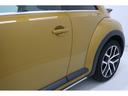 VOLKSWAGEN THE BEETLE
