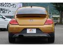 VOLKSWAGEN THE BEETLE