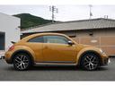 VOLKSWAGEN THE BEETLE