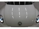 VOLKSWAGEN THE BEETLE