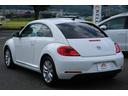 VOLKSWAGEN THE BEETLE