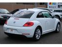 VOLKSWAGEN THE BEETLE